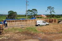 Wooden Pallet Fumigation